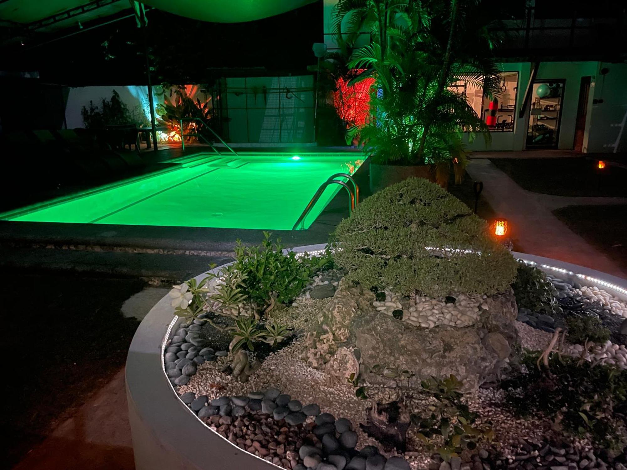 Parrot Resort Moalboal Zewnętrze zdjęcie